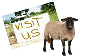 Owen Farms Grenada Location